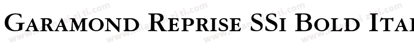 Garamond Reprise SSi Bold Italic字体转换